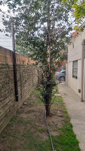Imagen 15 de 20 de Casa En Venta Berazategui Oeste