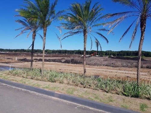 Imagem 2 de 20 de Terreno No Colegio Agricola Com 0 Quartos Para Venda, 240 M² - Ft1340