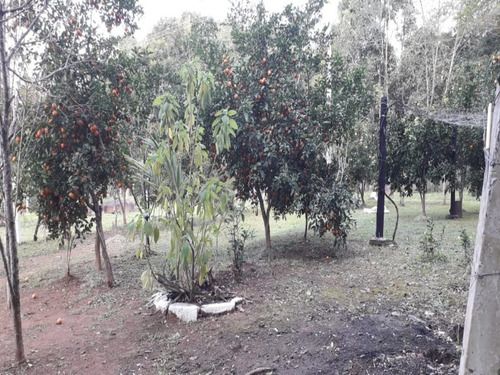Chácara 10.000 M² - Pega Fogo - Taquara - Rs - 2070 - 33675674