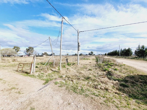 Imagen 14 de 24 de Venta De Campo De 2 Hectáreas En Guernica