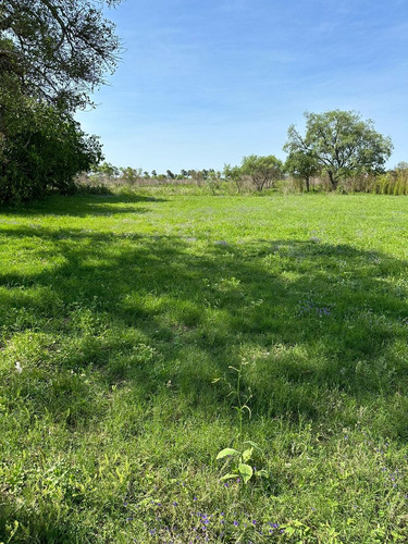 Lotes En Cayasta