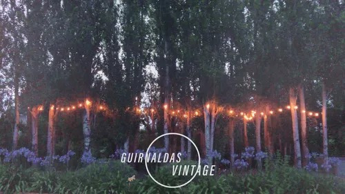Imagen 5 de 5 de * Guirnalda De Luces P/exterior C/focos Vintage Retro 10 M