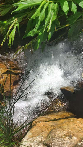 Imagem 5 de 7 de Terreno À Venda Área Rural Serra Da Canastra
