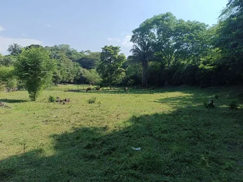 Espectacular Finca