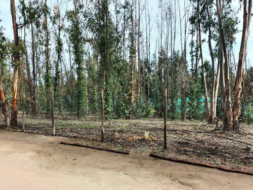 Imagen 4 de 9 de Maitencillo, Sitio En Condominio Con Excelente Plusvalía