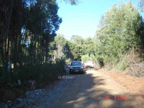 Imagen 12 de 13 de Camino Nonguen S / N , Sector Reserva De Nonguen Concepción