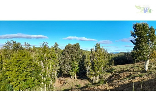 Se Vende Campo De 16 Hectareas Con Casa Y Galpon En Coquiao