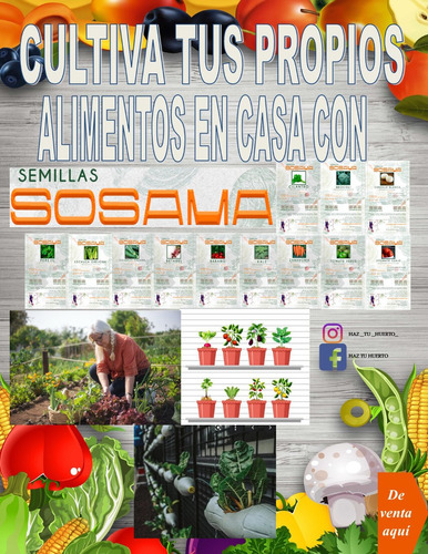 Semillas De Hortalizas (jitomate, Brocoli, Kale, Entre Otras