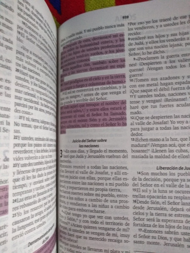 Biblia De Promesa Rvc