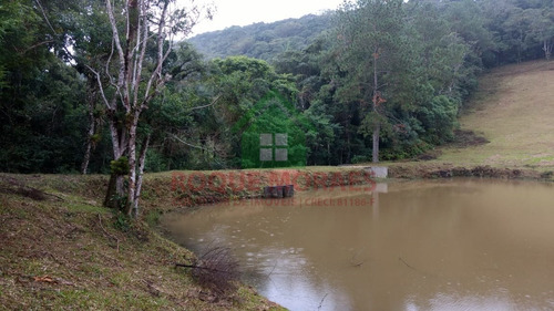 Imagem 5 de 20 de Sítio À Venda Em Juquitiba Sp Medindo 48000m² Ref 1002