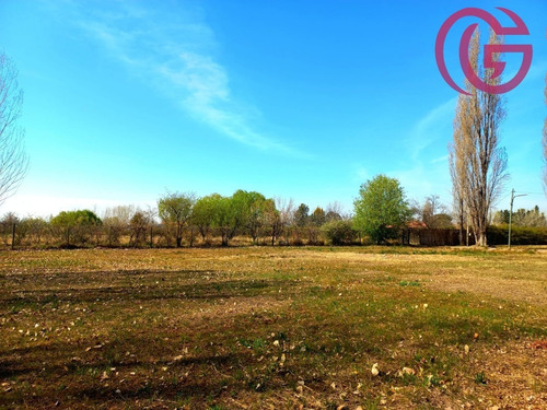 Imagen 6 de 12 de Greenwood Inmobiliaria Vende Ultimo Lote Disponible En Barrio Rincon Cepas De Malbec - Vistalba
