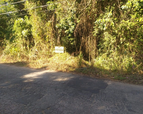 Imagem 2 de 7 de Terreno - Te00409 - 1516700