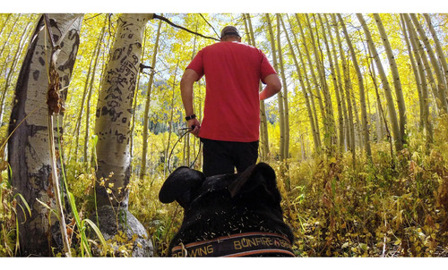 Arnes Para Perros Gopro Adogm-001 Fetch Dog Color Negro