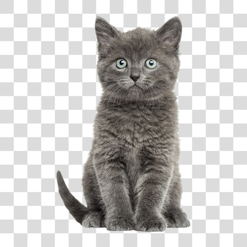 Imagem 1 de 3 de Removo Fundo De Imagens