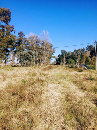 Imagen 7 de 12 de Venta De Lote De Terreno En Brandsen