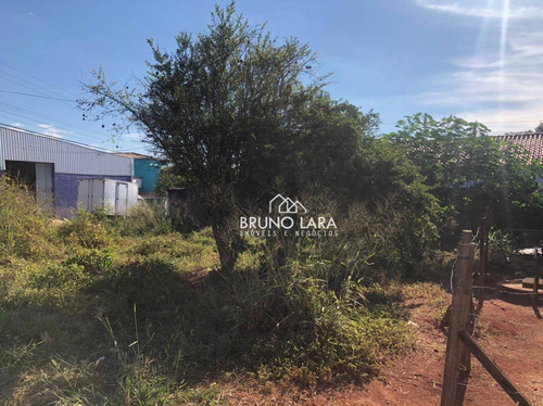 Imagem 5 de 9 de Terreno À Venda Em Igarapé Bairro Roseiras - Te0247