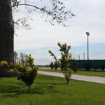 Terreno - Lagos De San Eliseo