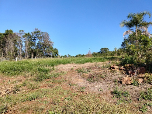 Chácara 20.000 M² - Lomba Grande - Novo Hamburgo - Rs - 1819 - 32578114