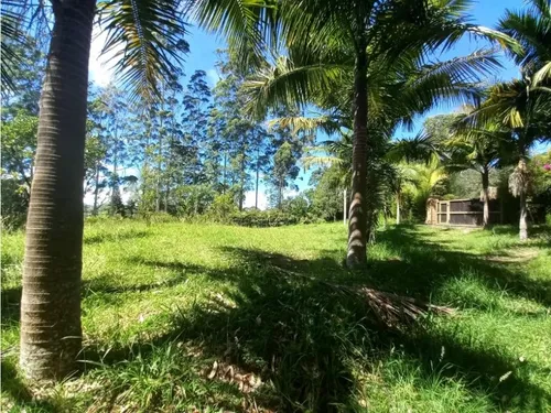 Lote Para Arriendo Via Don Diego Llanorande Perfecto Para Comercio