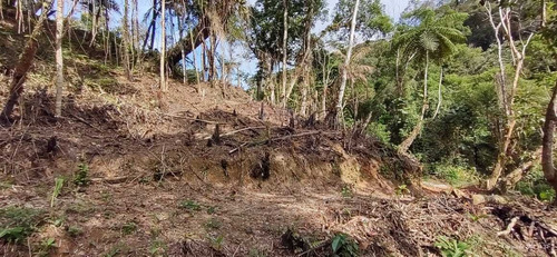 Imagem 6 de 14 de Juquitiba Terreno P Construir/platô/limpo/5000 Mts Ref 05137