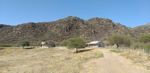 Campo Con 3 Viviendas Mas Pileta