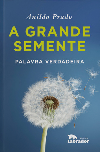A grande semente, de Prado, Anildo. Editorial Editora Labrador Ltda, capa mole em português, 2018