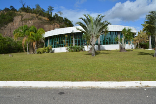 Jazigo Perpétuo Cemitério E Crematório Parque Da Colina Niterói Rj