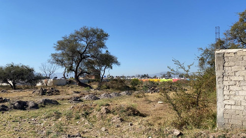 Imagen 11 de 18 de Terreno En Venta Con Barda Perimetral