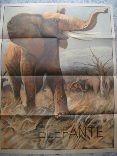 Antigua Lamina Revista La Obra  Dec 50 Elefante - Ed. Fraft
