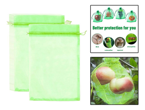 # Bolsas De Protección De Frutas Para Árboles Verde Claro