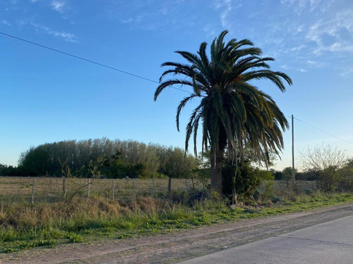 Campo En Venta, Ranchos.