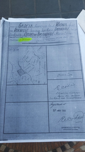 Se Vende Isla Entre Rios Sobre Arroyo Tigre