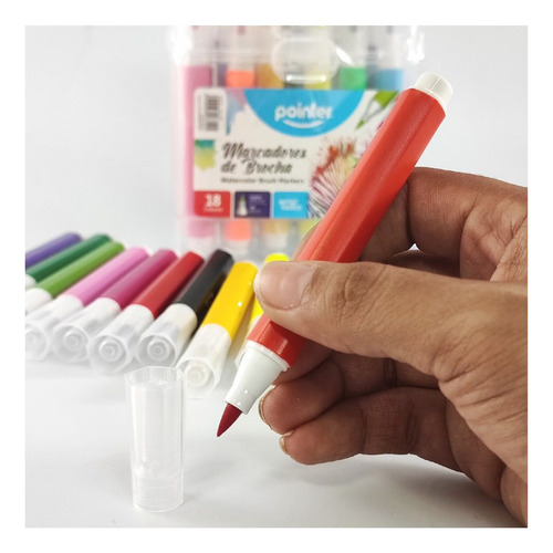 Marcador De Brocha 18 Colores A Base De Agua Estuche Pointer