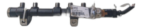 Riel De Inyeccion Diesel Sensor Peugeot 208 2013-2018