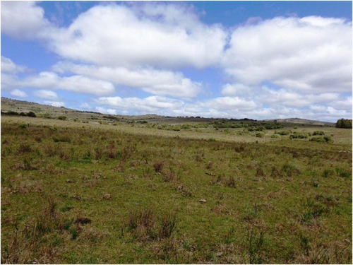 Quinta En Venta En Pueblo Edén