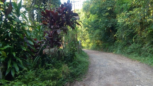 Imagem 8 de 15 de Chácara Para Venda Em Mogi Das Cruzes, Manoel Ferreira, 5 Dormitórios, 3 Banheiros, 4 Vagas - 555_1-1361254