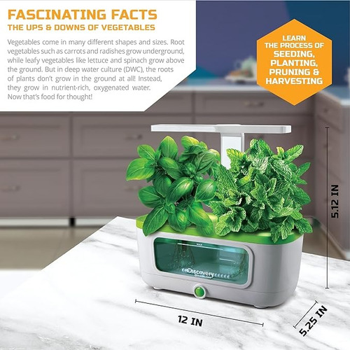 Discovery Kids Diy Stem Kit De Jardinería Acuática Interior