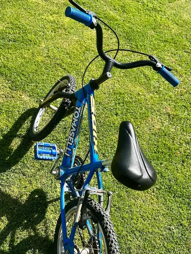 Bicicleta Tomaselli Rodado 14 Usada MercadoLibre