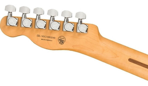 Imagen 8 de 10 de Guitarra Eléctrica Fender Telecaster Player Plus Pf Svs