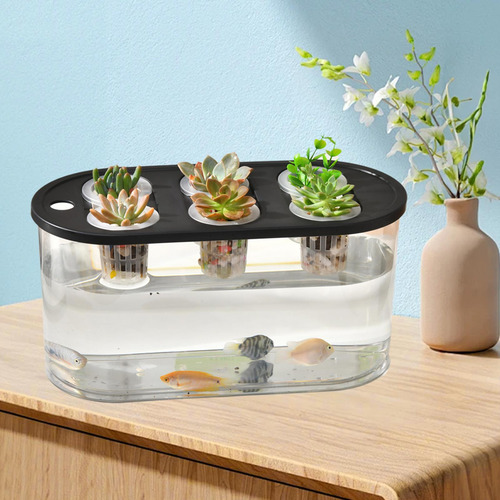 Jarrón Hydroponics Grower Box Para Arreglos Florales, Color