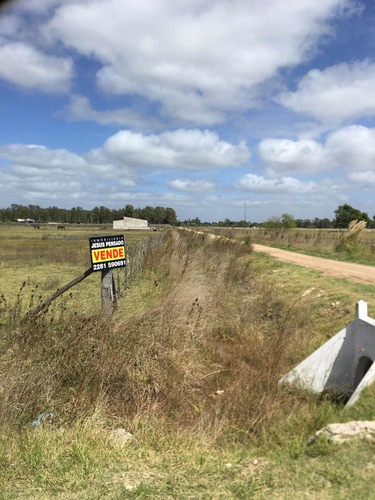 Tapalque: 1 Hectarea En Venta (frente Termas)