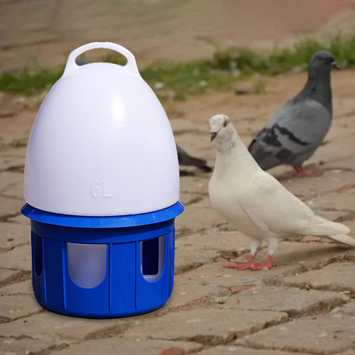 Bebedero For Palomas, Dispensador 6l D 19cm H 35cm