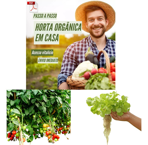 Digital Pdf - Projeto Construção Horta Hidropônica