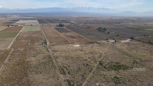47 Hectareas De Campo Con Gran Frente En Ruta Nacional 40 (acceso Sur) Ugarteche Lujan De Cuyo