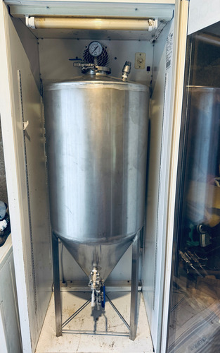 Fermentador Cónico Isovarico Inox (Usado)