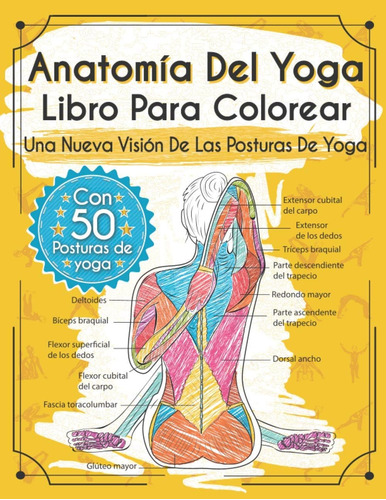 Libro: Anatomía Del Yoga Libro Para Colorear: Una Nueva Visi