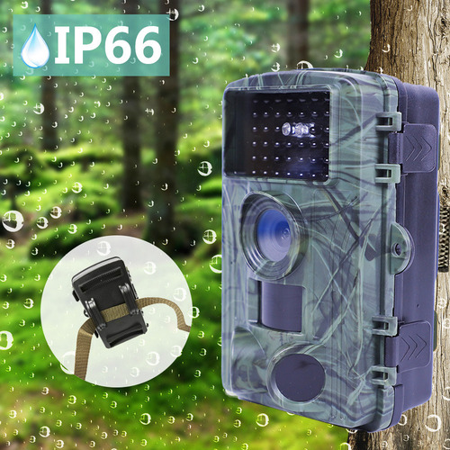 Cámara Wifi Trail De 60 Mp Con Visión Nocturna Y Diseño
