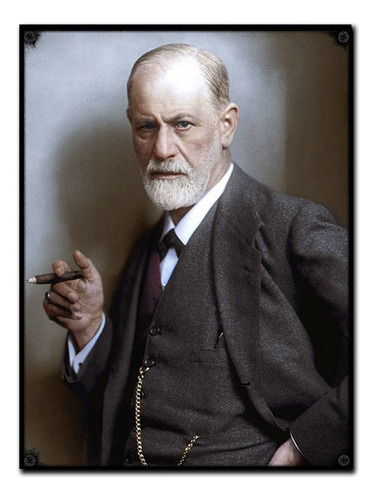 #484 - Cuadro Vintage 21 X 29 Cm / No Chapa Sigmund Freud 