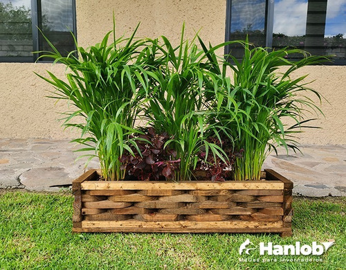 Imagen 5 de 9 de Maceta De Madera Tipo Jardinera Piña
