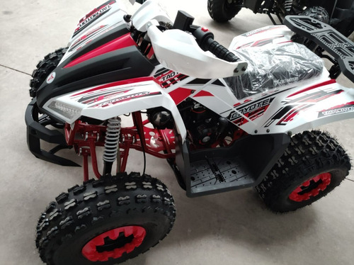 Imagen 19 de 20 de Cuatrimoto Coyote 125cc Automatica 0 Klm 2023